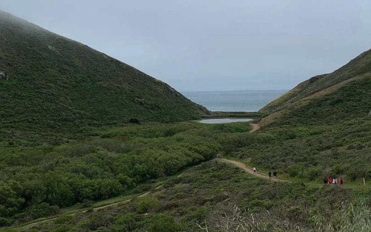 There are no steep hills to climb on these 5 easy(ish) Bay Area hikes.